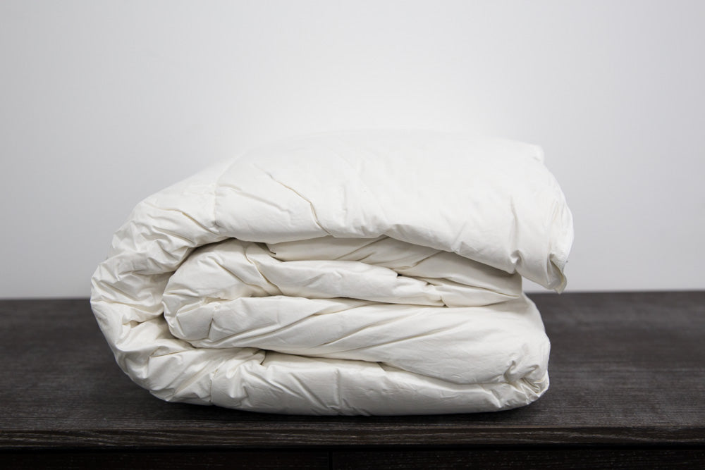 Premium Pillowtex Down Comforter - All-Season Luxury Bedding for Ultimate Comfort & Warmth | Perfect for Master Bedrooms, Guest Rooms & Cozy Winter Nights