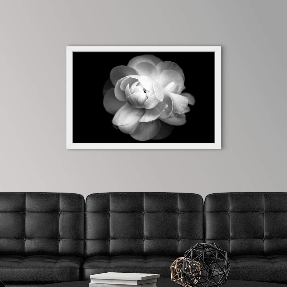 Black and White Ranunculus Flower Art Print - White Framed Floral Wall Decor for Living Room, Bedroom & Office