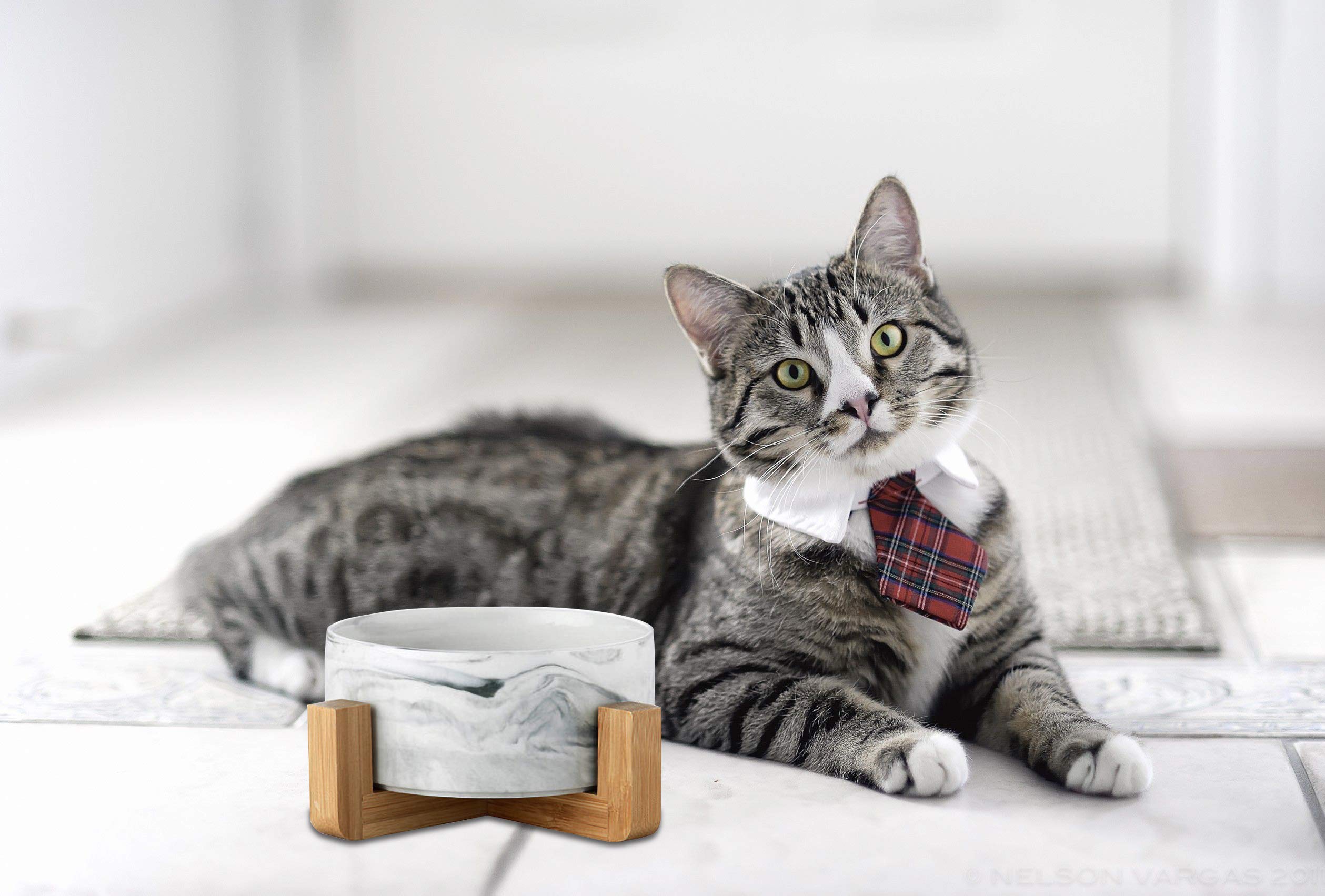 Premium Ceramic Pet Bowls with Stand - Non-Slip Heavy Weighted Dog & Cat Food and Water Bowls - No Tip Over Design for Comfortable Feeding - Dishwasher Safe, Easy to Clean - Perfect for Home, Kitchen, or Travel Use