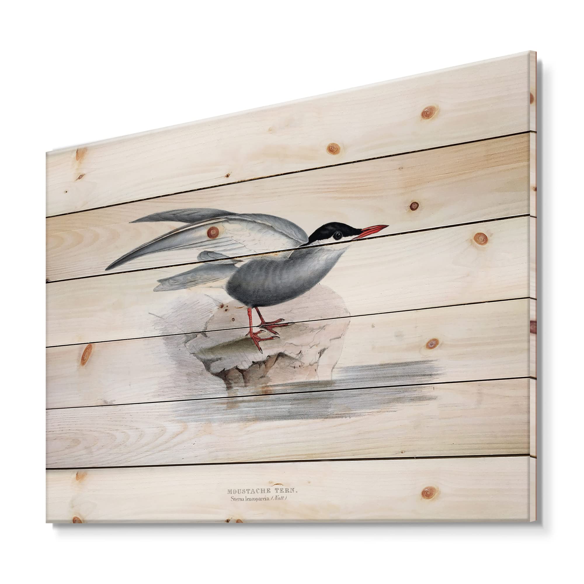Vintage European Bird Wood Wall Art - Traditional Blue Wooden Wall Decor, Large Animal Wood Panels Printed on Natural Pine - Perfect for Living Room, Bedroom & Farmhouse Decor