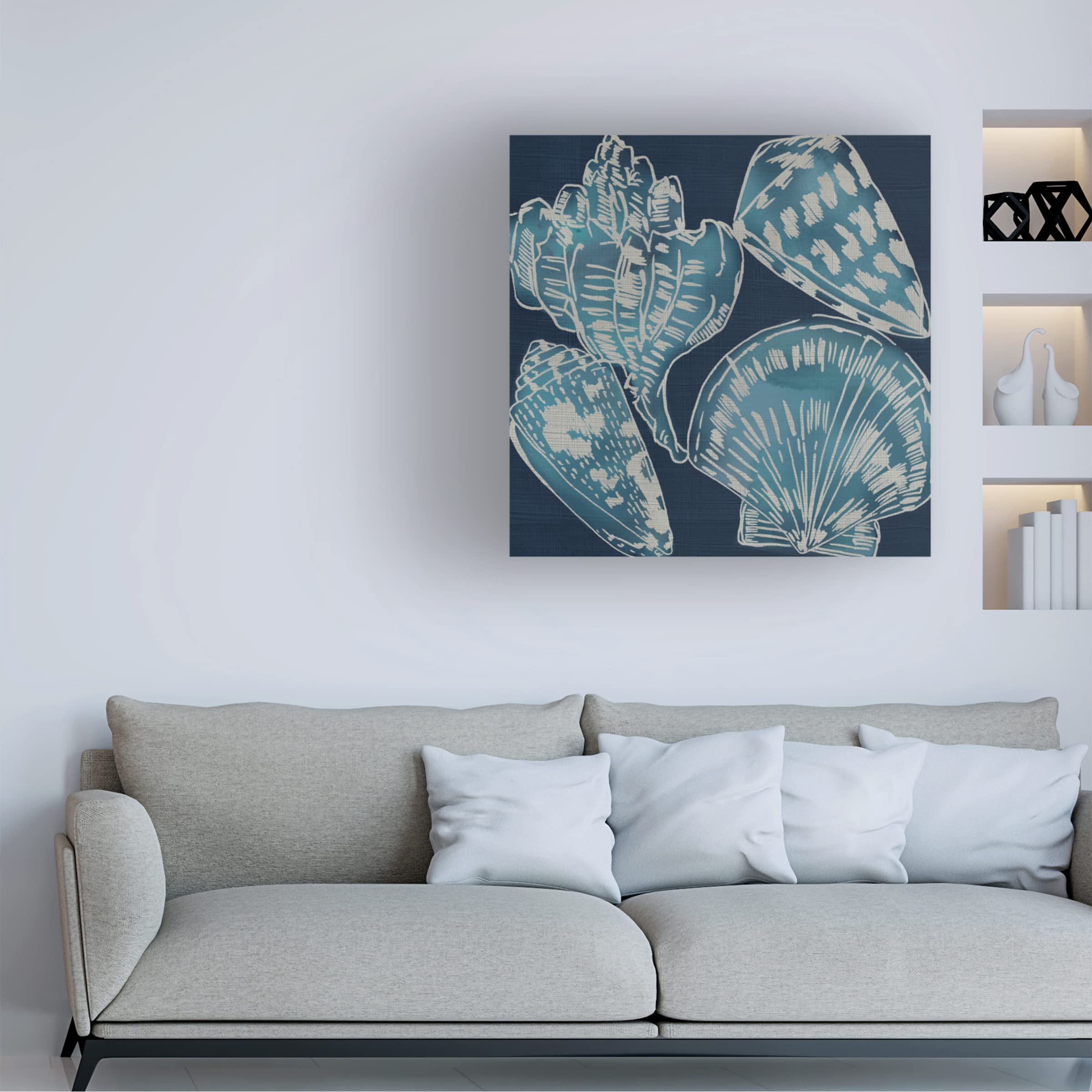 Trademark Fine Art 'Marine Shells II' by Chariklia Zarris - Stretched Canvas Wall Art Decor for Living Room, Bedroom & Office | Coastal Beach Theme Home Decor