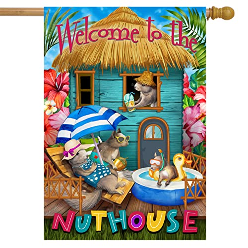 Summer Nuthouse