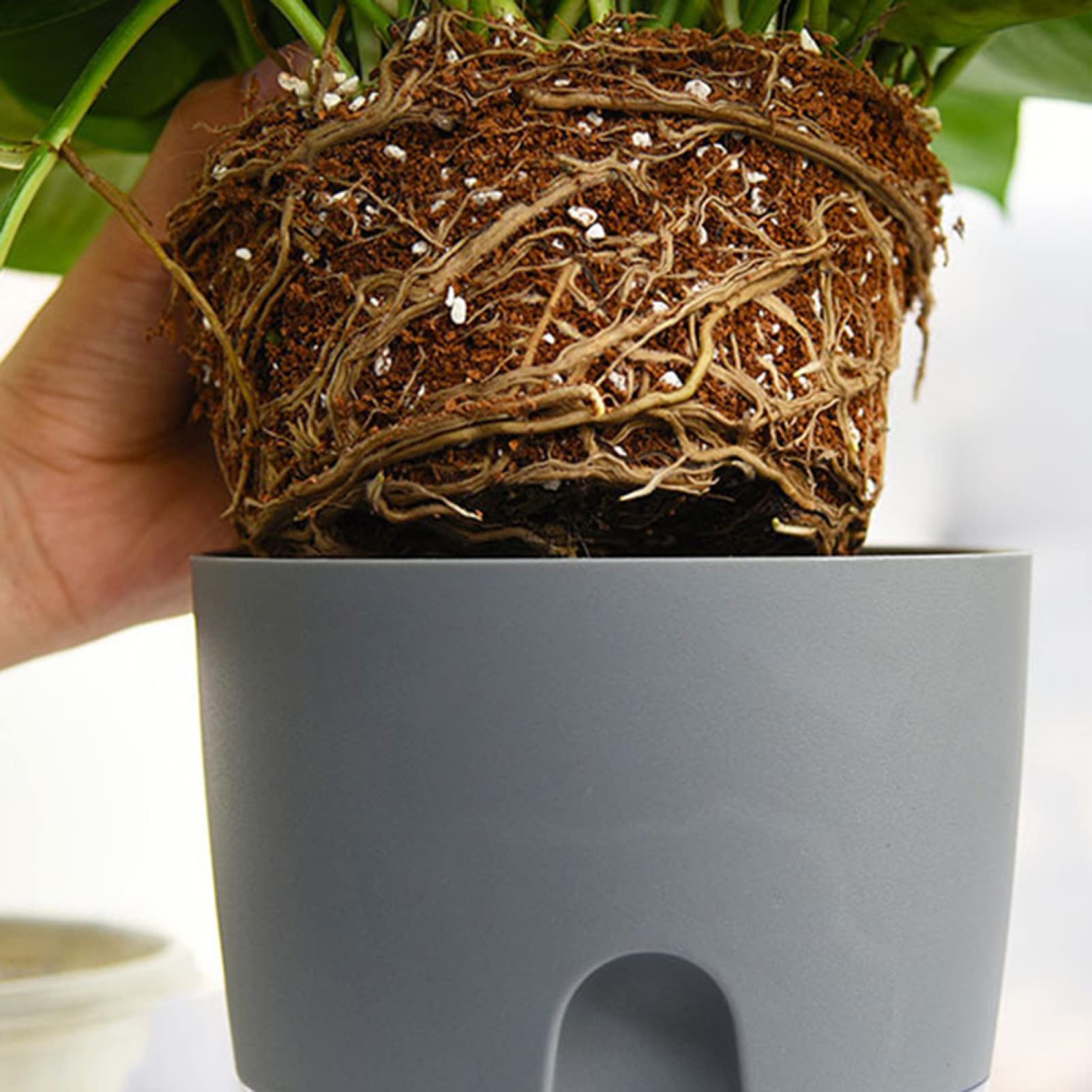 Self Watering Planter - Round Resin Flower Pot for Indoor Plants, Home & Office Decor (4 Inch) - Perfect for Succulents, Herbs and Small Houseplants