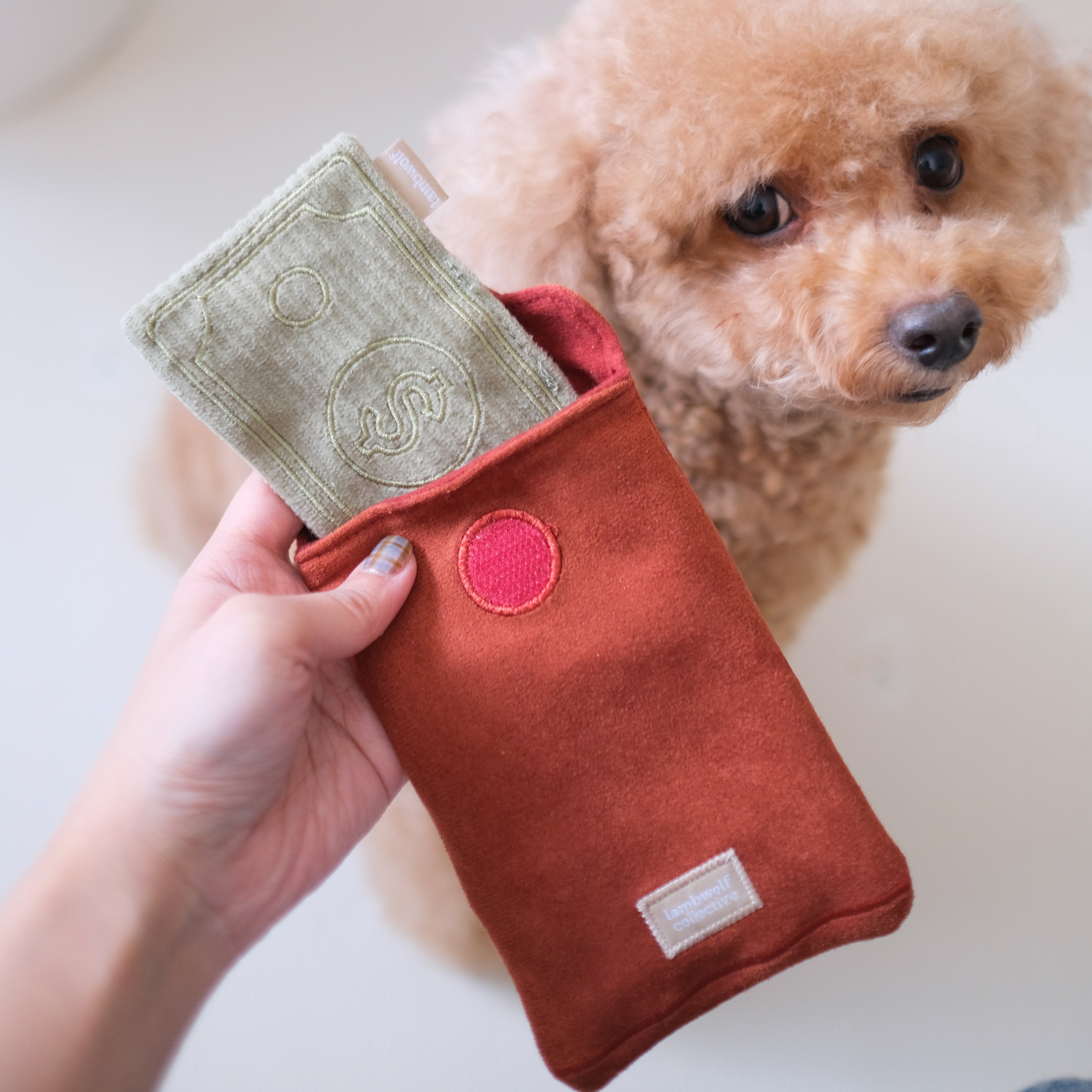 Red Pocket Envelopes for Gifts, Money, and Greeting Cards - Perfect for Chinese New Year, Weddings, and Special Occasions