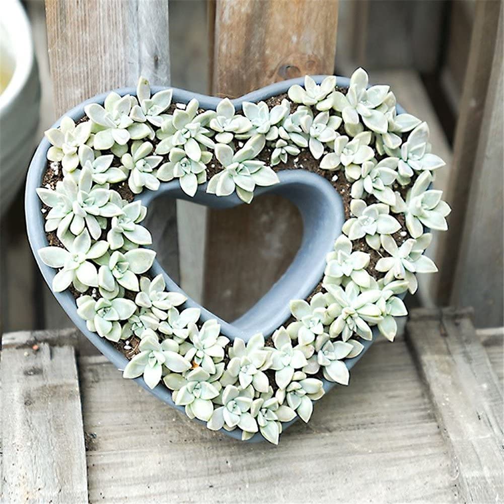 Premium Silicone Concrete Flower Pot Molds - Heart-Shaped DIY Planter Molds for Succulents, Cement & Clay Crafts | Perfect for Home Garden Decor, Wedding Favors & Handmade Gifts