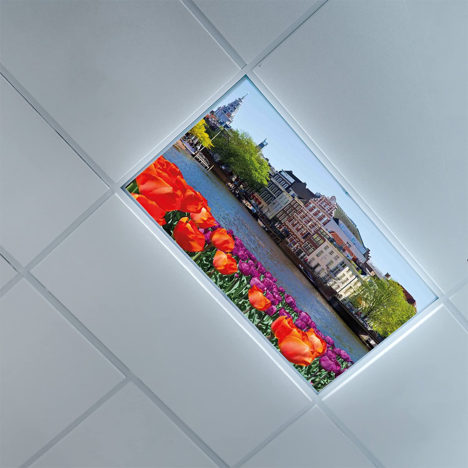 Decorative Fluorescent Light Covers 2ft x 4ft - Landscape Pattern Drop Ceiling Panels for Classroom & Office Lighting - Colorful Light Diffuser Panels | Perfect for Schools, Hospitals & Commercial Spaces