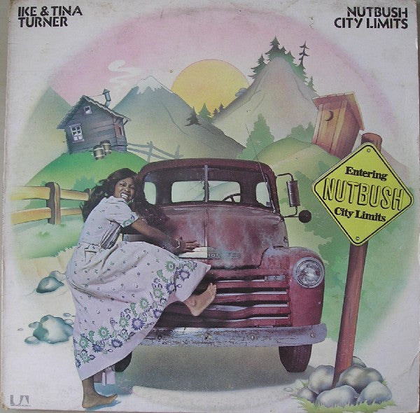 Ike & Tina Turner - Nutbush City Limits Vinyl LP Album (VG+ Condition) - Perfect for Vintage Music Collectors & 70s Soul Fans