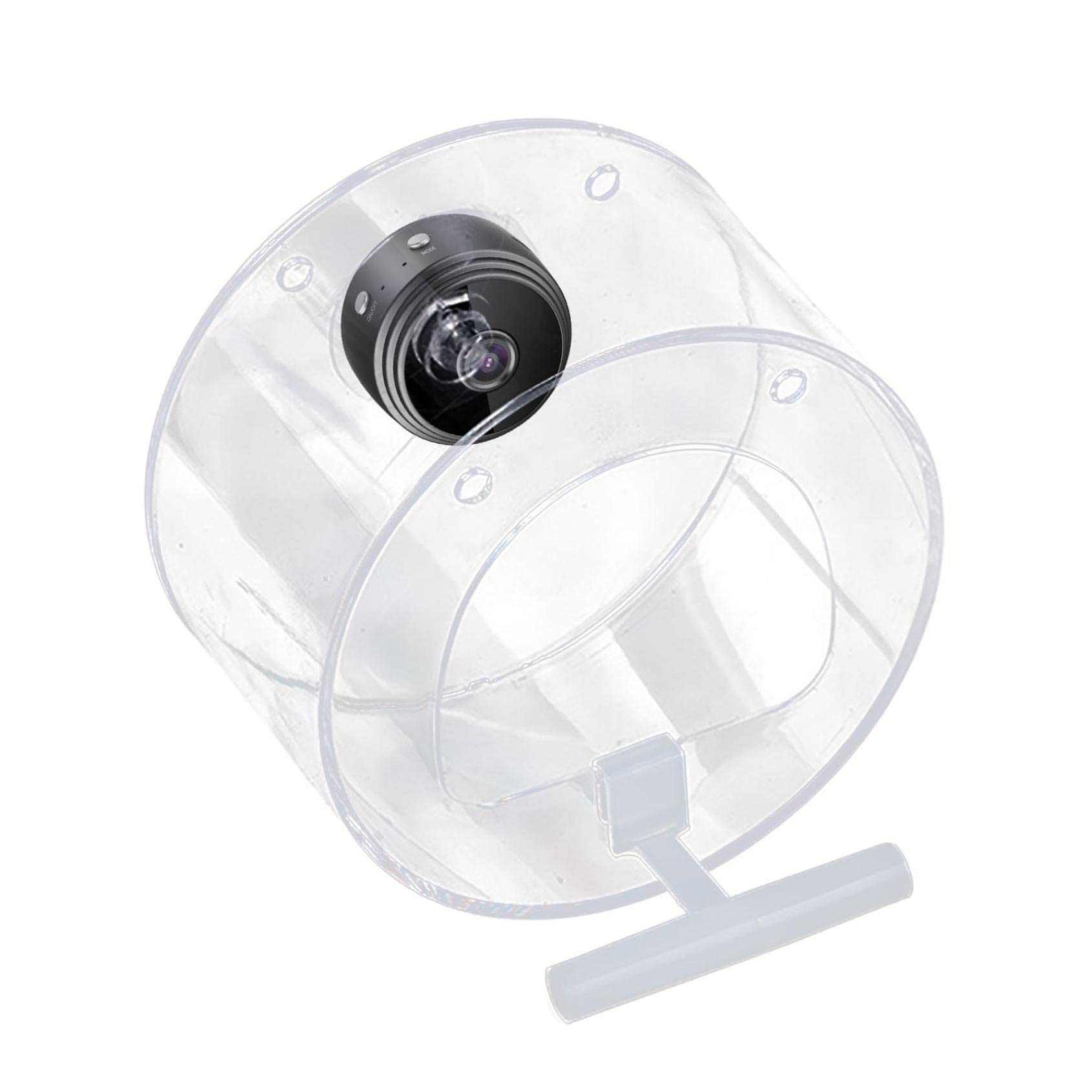 Smart Bird Feeder with Built-in 1080P HD Camera | WiFi Enabled Night Vision Bird Watching Station | Remote Viewing via Mobile App | Perfect for Backyard Wildlife Photography & Nature Observation
