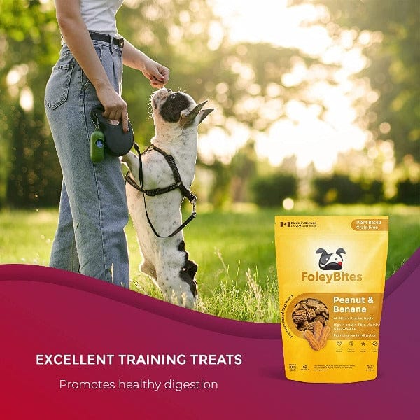 Premium Baked Dog Treats - Foley Bites Peanut & Banana Flavor | All-Natural, Grain-Free Snacks for Training & Rewarding Dogs | Perfect for Small, Medium & Large Breeds