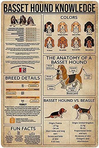 Basset Hound Educational Retro Poster - Dog Knowledge Art Print for Home Decor (18x12 Inch) | Vintage Wall Art for Bedroom, Bathroom & Cafe