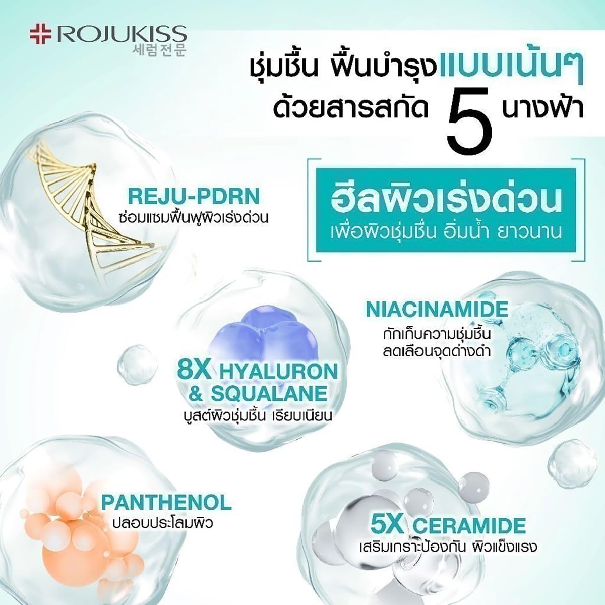 REJU Moisture Boost & Lock Gel Cream - 50ml/Box (Set of 6) | Hydrating & Nourishing Face Cream for Smooth & Clear Skin | Perfect for Daily Skincare Routine & Travel | Free Beauty Gifts Included