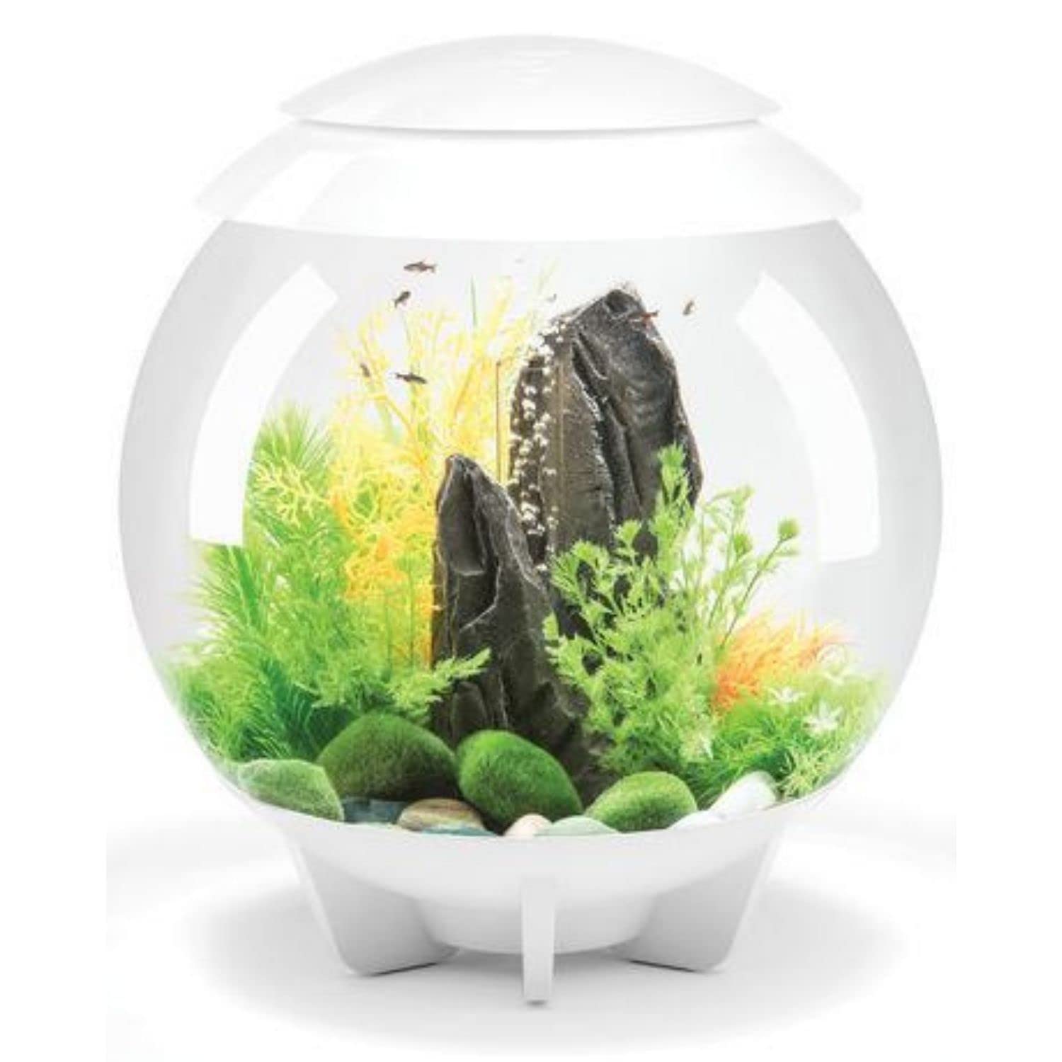 biOrb Halo 30 Acrylic 8-Gallon Aquarium with Remote-Controlled Multi-Color LED Lights - Modern White Tabletop Fish Tank for Home & Office Decor | Perfect for Small Spaces, Living Rooms, and Desktop Displays