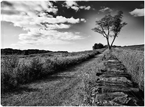 Stone Wall