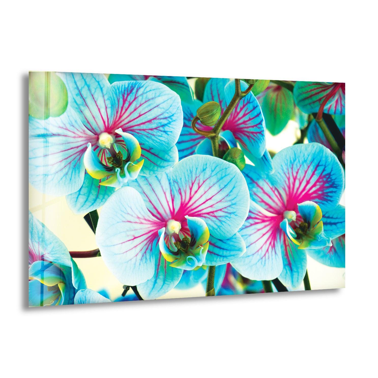 Blue & Pink Orchids Glass Wall Art - Elegant Floral Decor for Living Room, Bedroom & Office