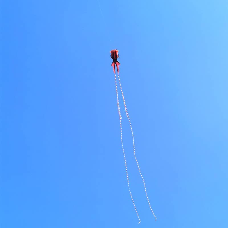 Rainbow Goldfish Soft Kite for Kids & Adults - 30M Flight Line with Reel - Perfect for Beach, Park & Outdoor Family Activities