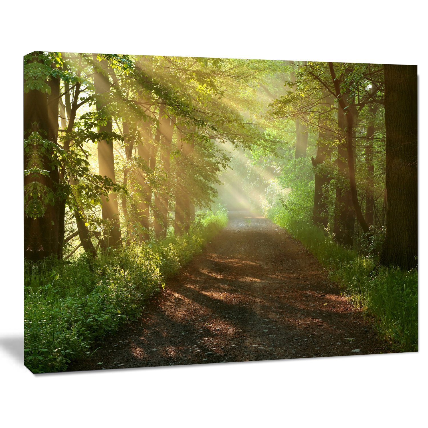 Sunlight Peeking Through Forest Trees - Nature Landscape Photography Canvas Print Wall Art for Living Room, Bedroom & Office Decor