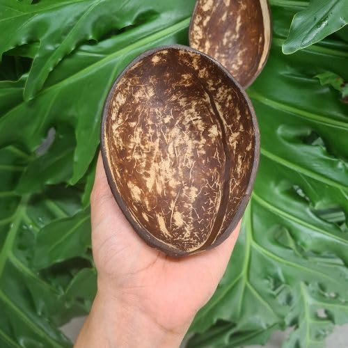 Organic Coconut Shell Bowls Set of 10 - 150ml Natural Oval Serving Dishes for Ice Cream, Snacks, Fruits, Salads | Eco-Friendly Partyware & Catering Supplies for Weddings, Picnics, Home Decor