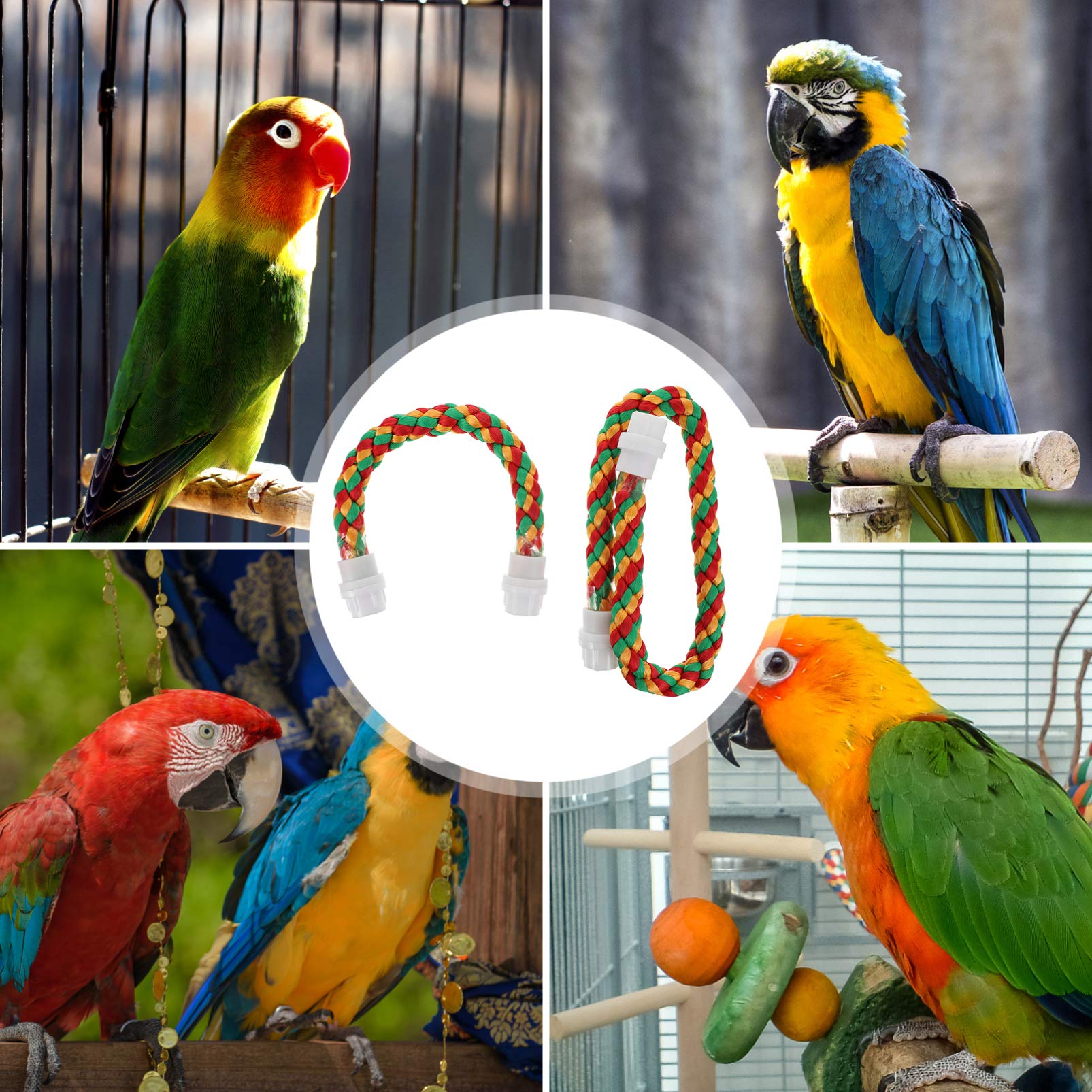 iplusmile Natural Cotton Parrot Chewing Toy - 2pcs Bird Rope Perch & Swing for Cage (30cm + 55cm) - Safe Teething Toys for Parrots, Cockatiels, Lovebirds - Perfect for Climbing, Chewing & Playtime Activities