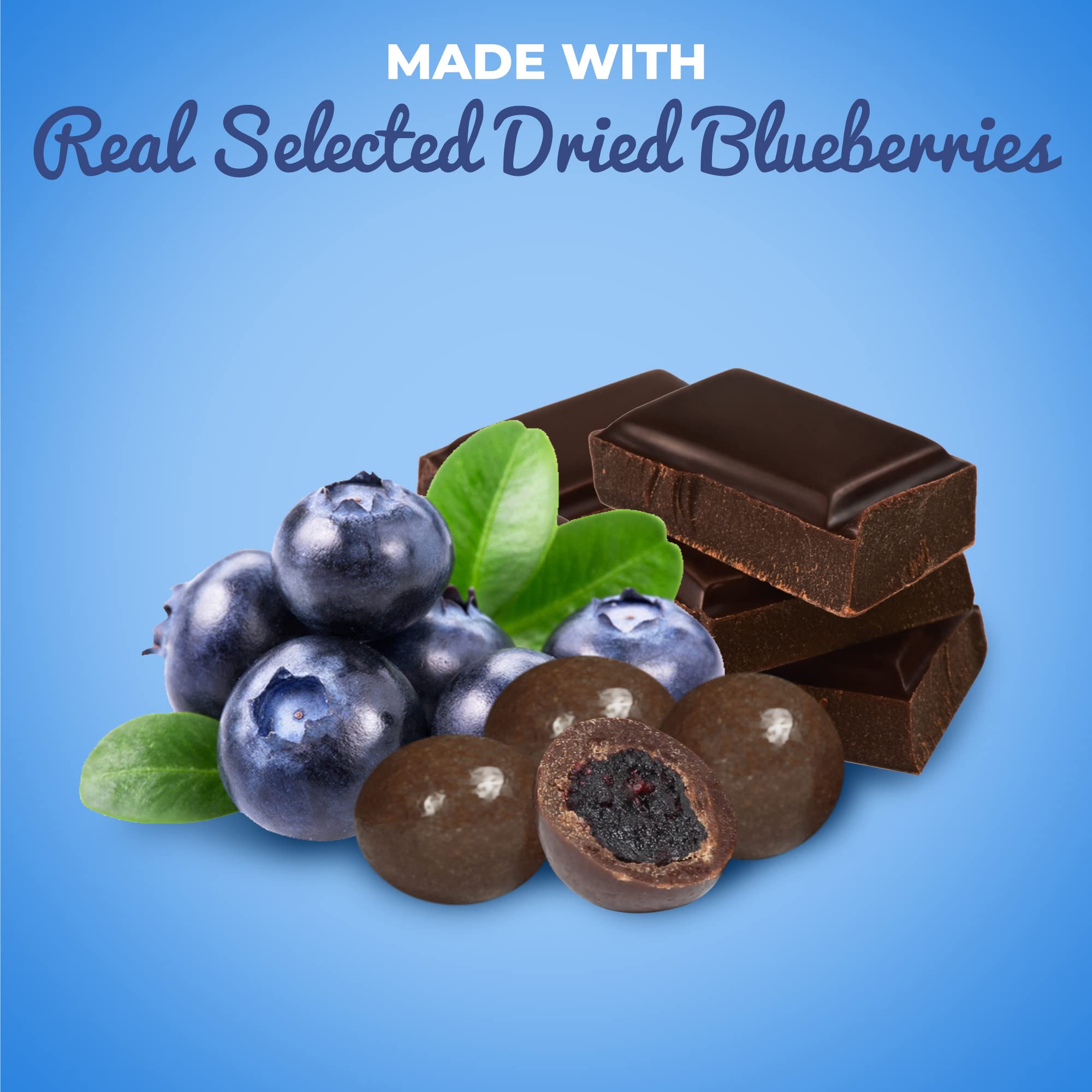 Gourmet Dark Chocolate Covered Blueberries by It’s Delish – 10 LBS Bulk Pack | Vegan & Kosher Snack with Real Dried Blueberries | Perfect for Parties, Gifts & Healthy Desserts