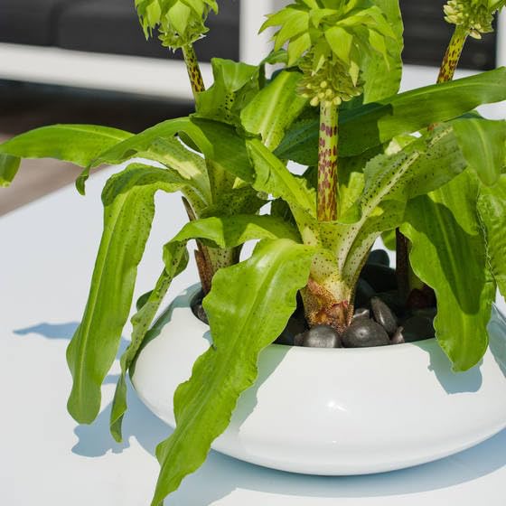 Modern White Fiberstone Round Planter Bowl - 6
