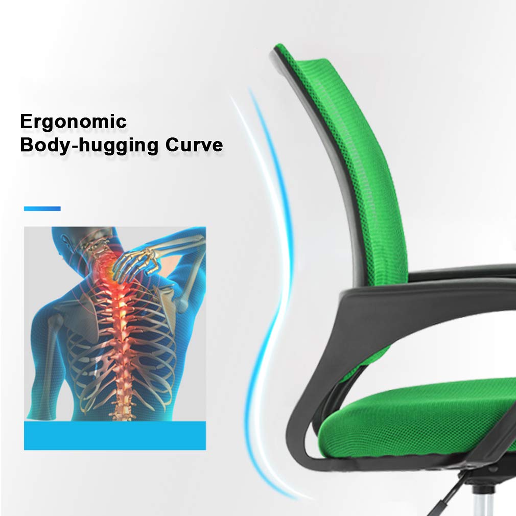 Ergonomic Mesh Office Chair with Adjustable Lumbar Support & Armrests - Comfortable Computer Desk Chair for Adults & Professionals - Perfect for Home Office, Gaming, and Workspace (Green)