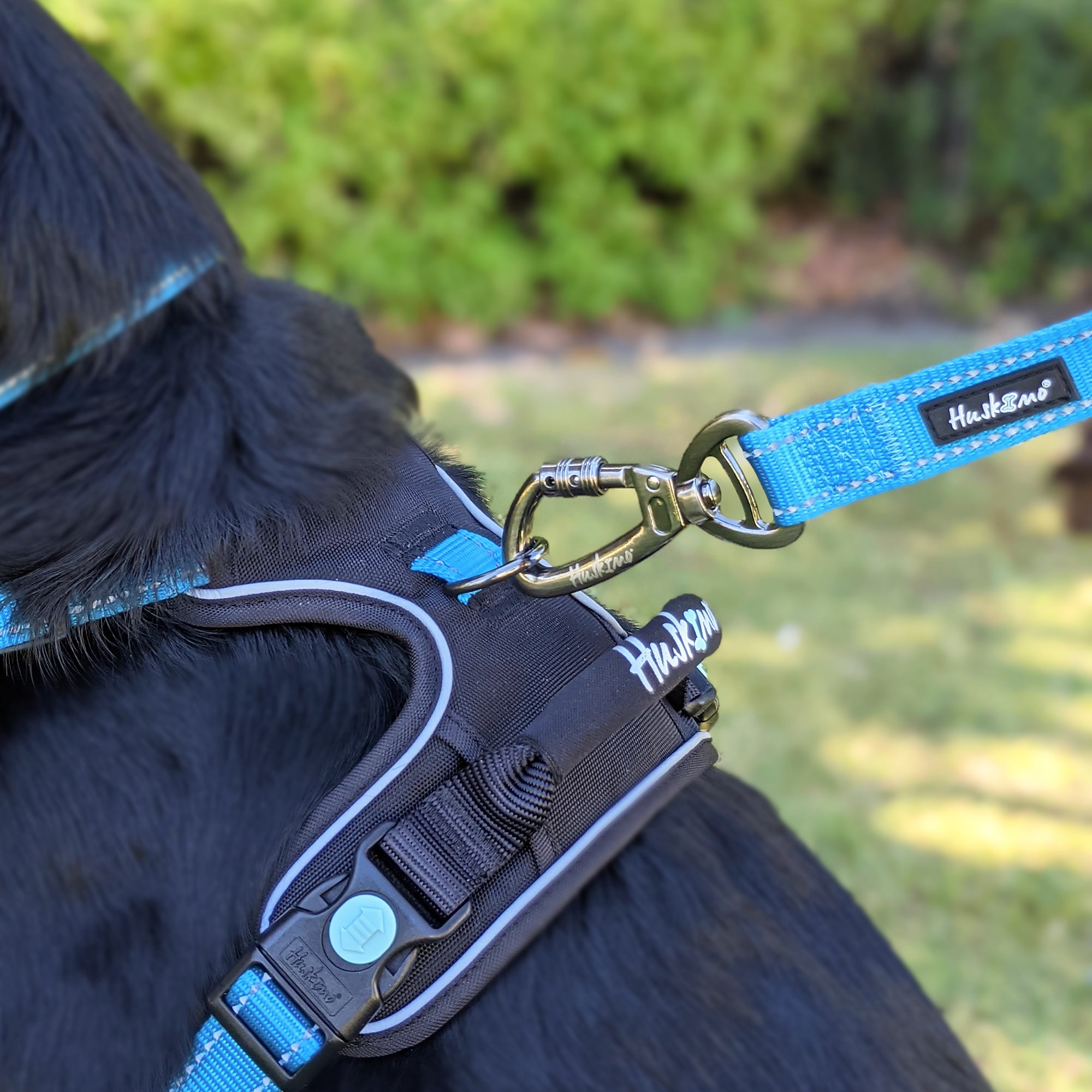 Huskimo Trekpro Dog Lead Bells Beach - Durable Reflective Dog Leash for Hiking, Running & Outdoor Adventures with Pets