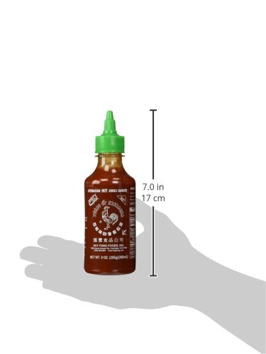 Huy Fong Sriracha Hot Chili Sauce - 9 Ounce Bottle (Pack of 2) | Spicy Asian Chili Garlic Sauce for Cooking, Dipping & Grilling - Perfect for Pho, Ramen, Tacos & Burgers