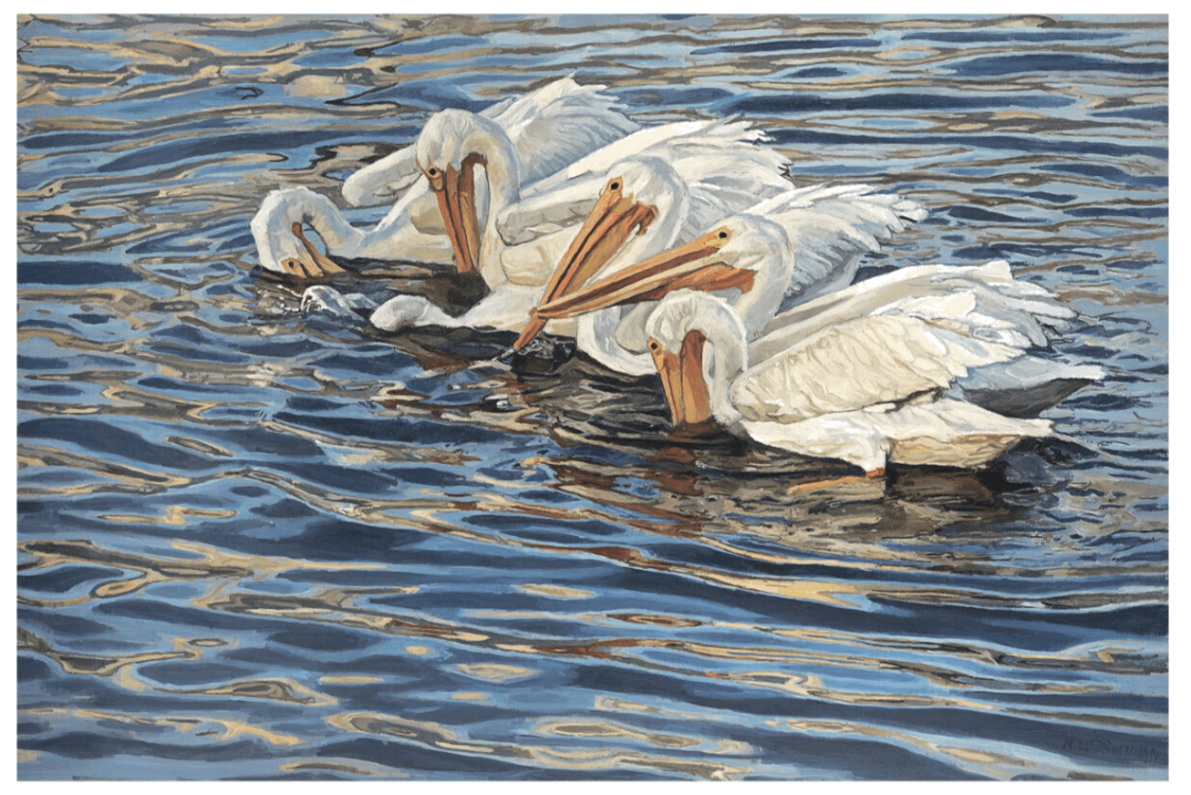 Six White Pelicans Giclee Art Print - Premium Canvas Wall Decor for Living Room, Bedroom & Office - Stunning Wildlife Home Decoration