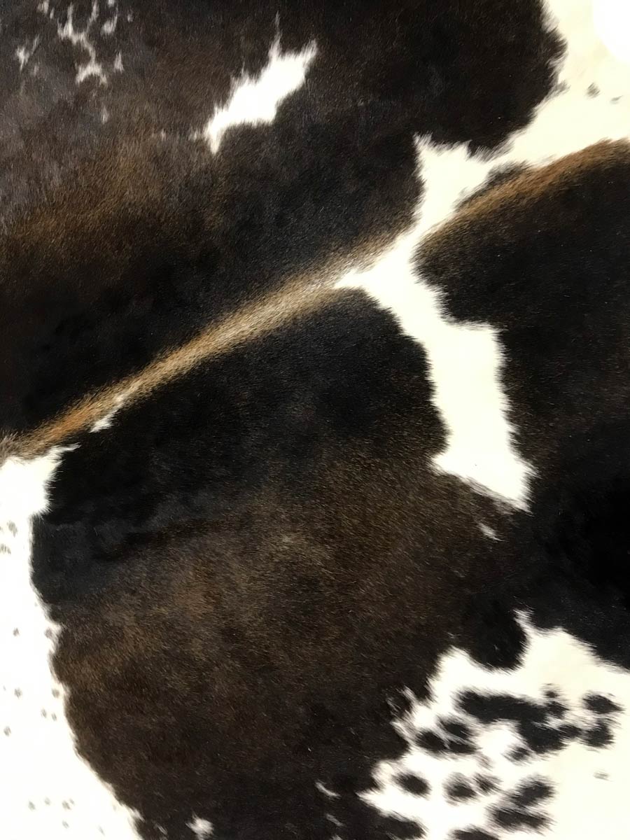 Premium Chocolate & White Cowhide Rug 3.6m² (38.7 sq ft) - Natural Leather Hide for Living Room, Bedroom & Office Decor