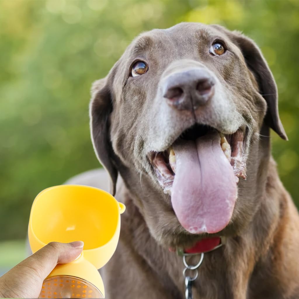 Qpets® Leak-Proof Dog Water Bottle - 380ml Portable Pet Water Dispenser for Travel & Walking, Large Capacity Dog Drinking Feeder (Yellow) - Perfect for Outdoor Adventures, Hiking, and Daily Walks with Your Pet