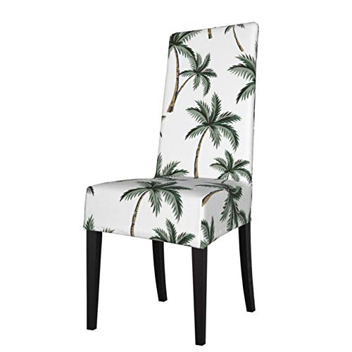 Tropical Palm Trees