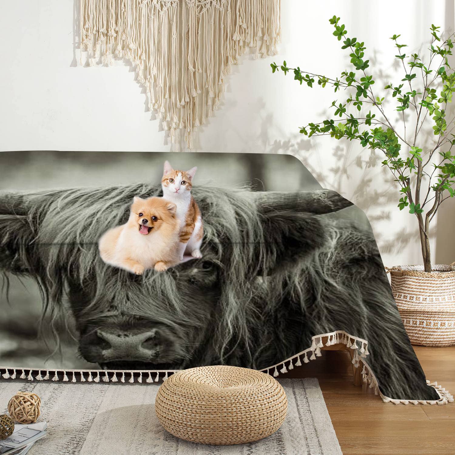 Highland Cow Print Washable Sofa Cover Slipcover - 70x90 Inch Stretchable Couch Protector for Pets, Living Room & Bedroom - Soft Furniture Throw Blanket for Home Decor & Cozy Comfort