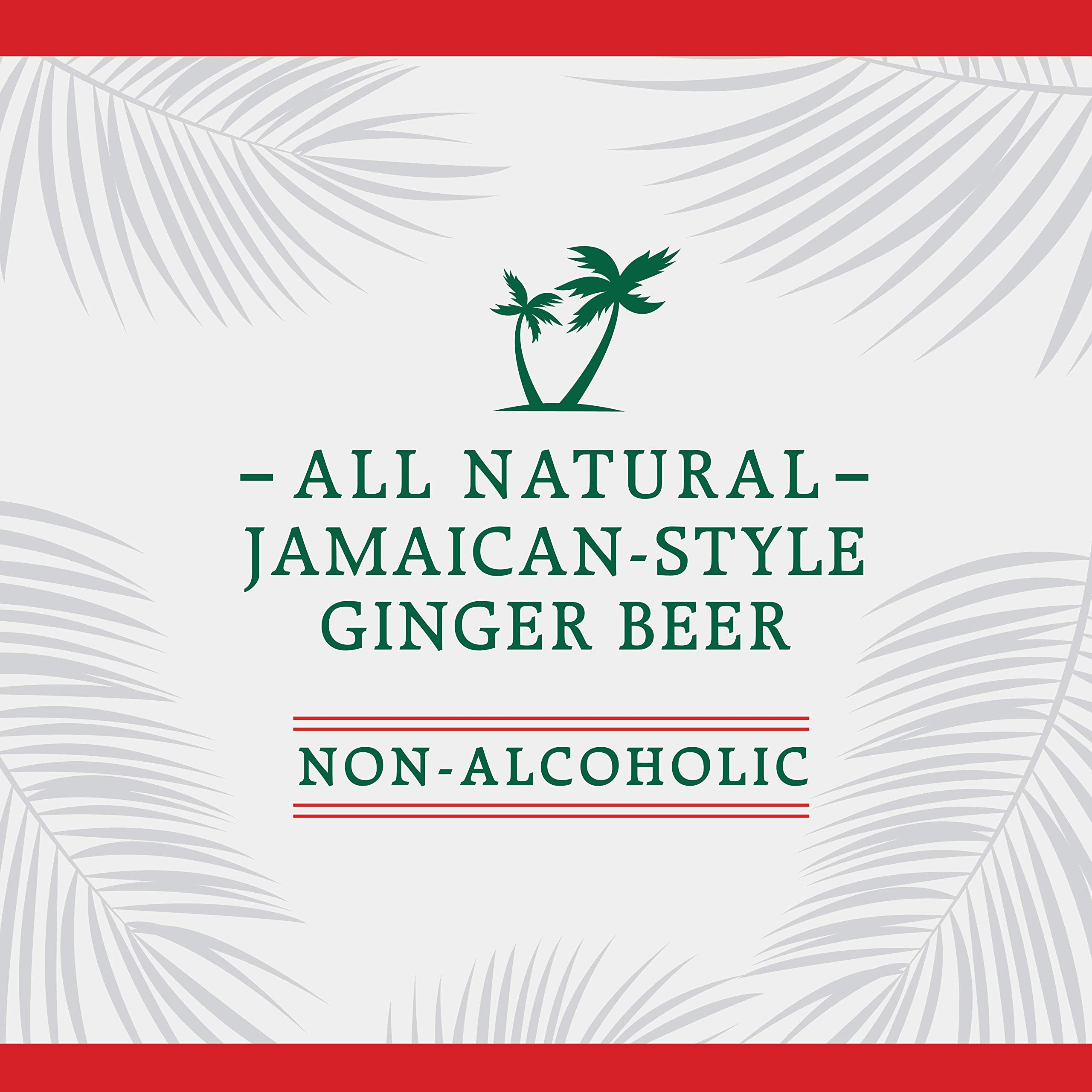Reed's Zero Sugar Extra Ginger Beer - 24 Pack of 12oz Cans | All-Natural Craft Ginger Soda with Fresh Ginger Root | Perfect for Mocktails, Cocktails & Healthy Refreshment