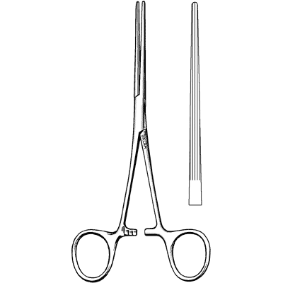 Bainbridge Forceps 6