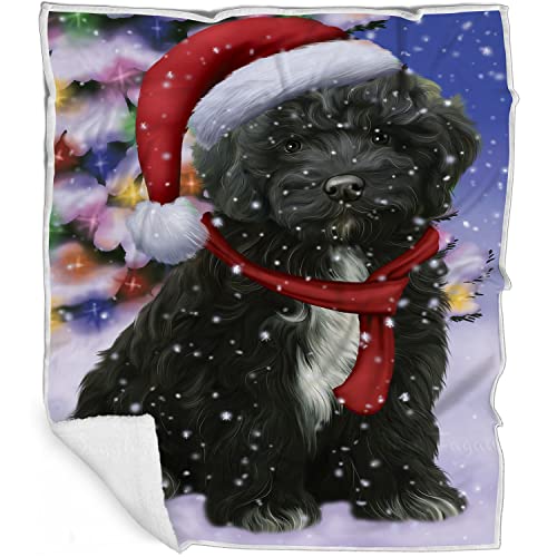 Winterland 2
