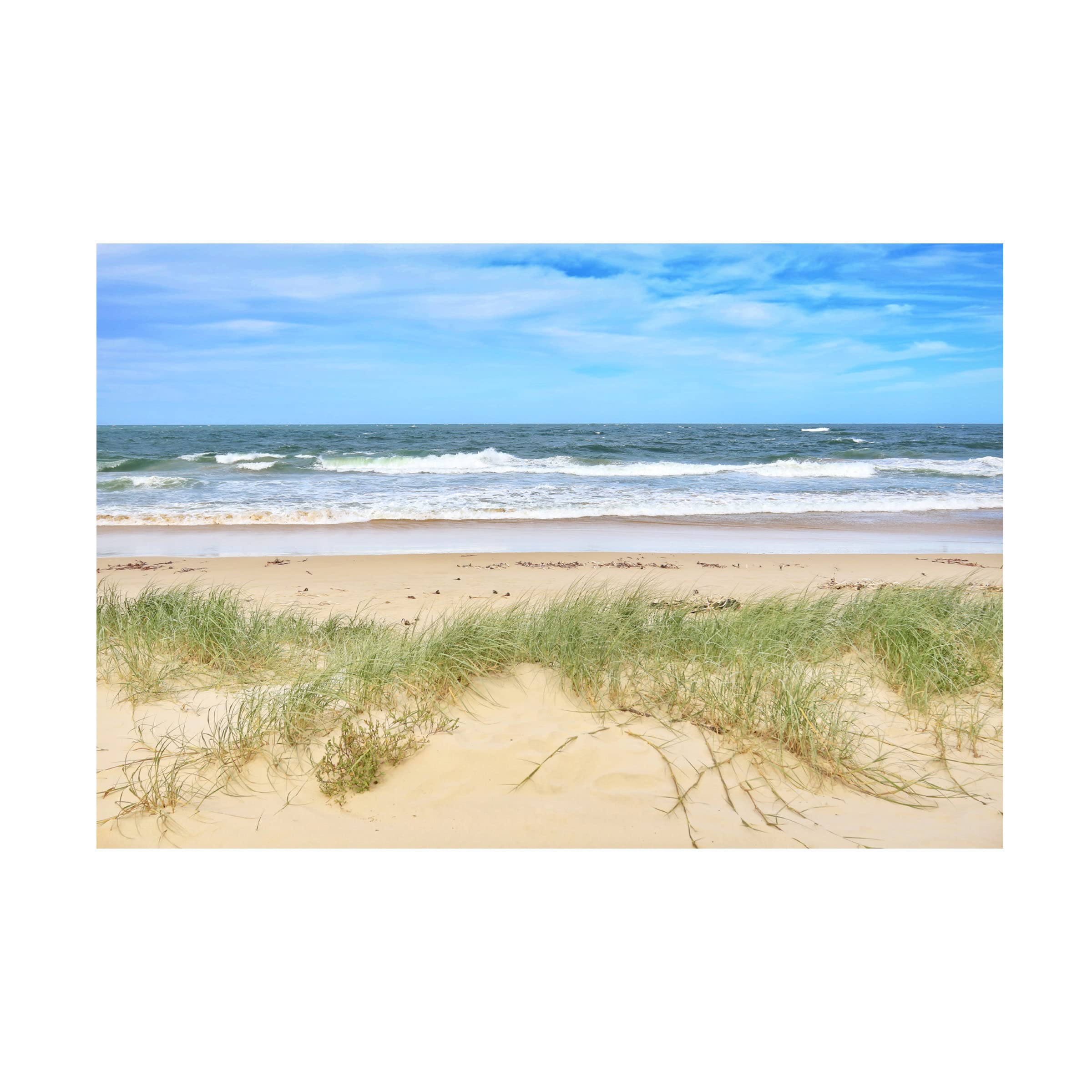 Trademark Fine Art 'Beachtime' Canvas Wall Art by Beata Czyzowska Young - Coastal Decor for Living Room, Bedroom & Beach House