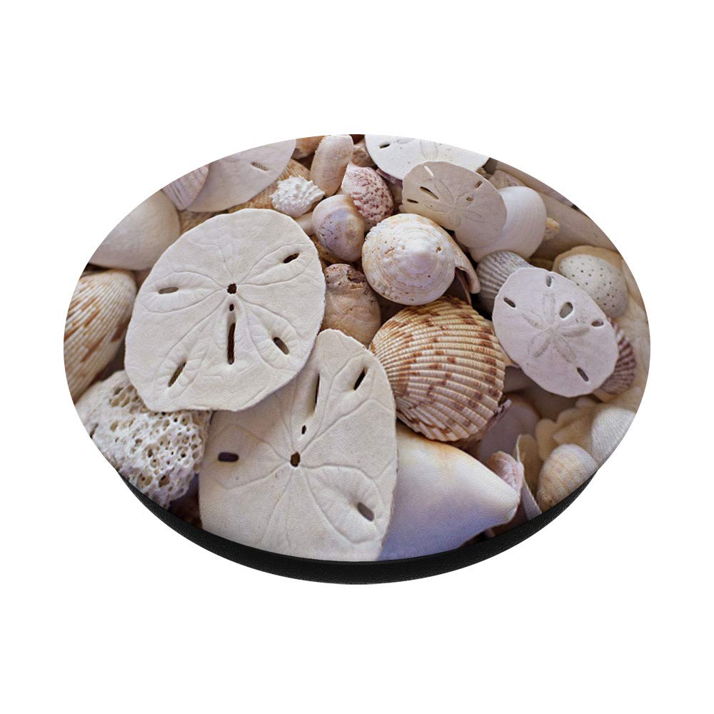 Sand Dollars and Seashells PopSockets PopGrip - Interchangeable Phone & Tablet Stand with Swappable Grip for iPhone, Samsung, and More | Perfect for Beach Lovers, Summer Travel, and Coastal Decor
