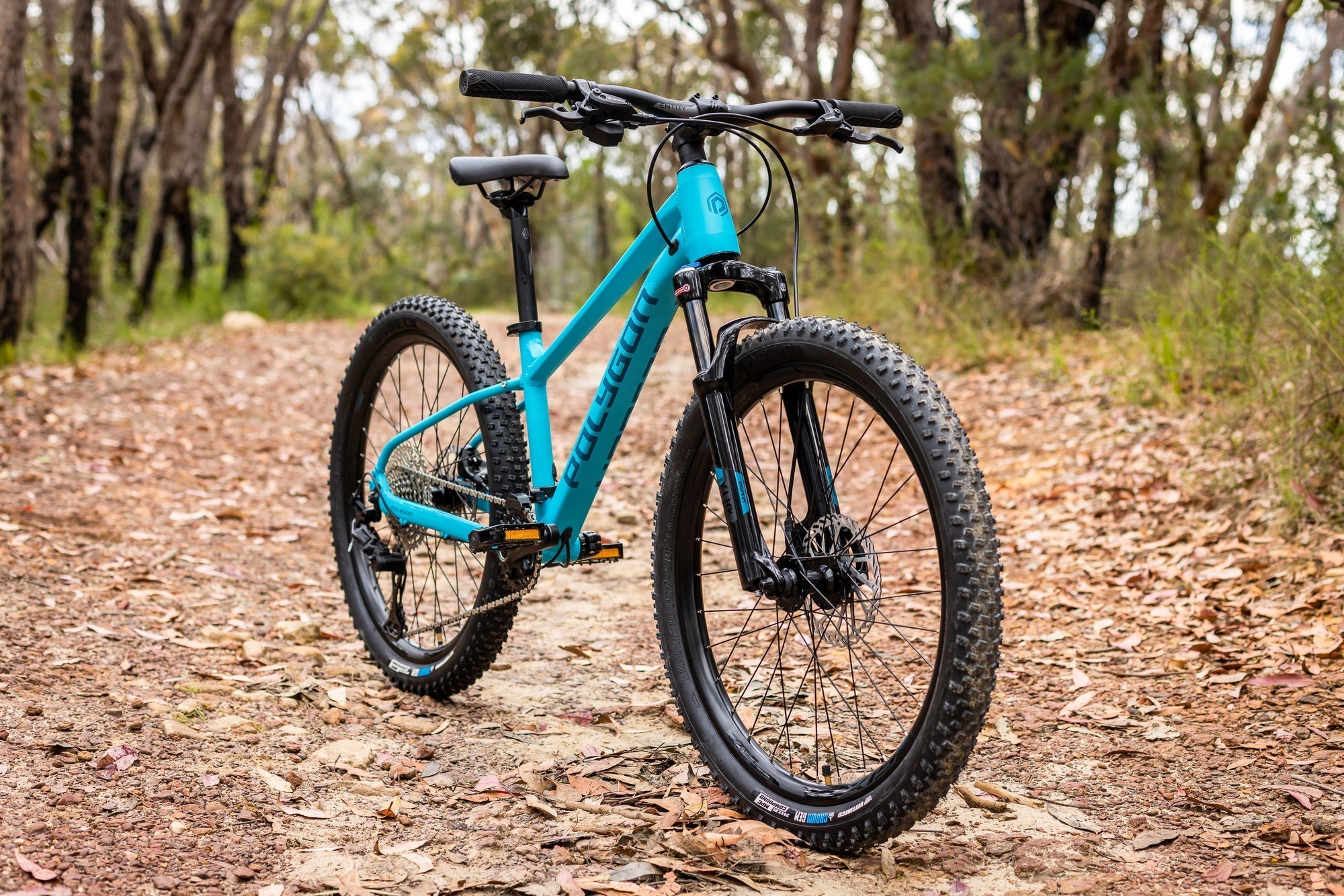 Polygon Xtrada 24 Kids Mountain Bike - 24
