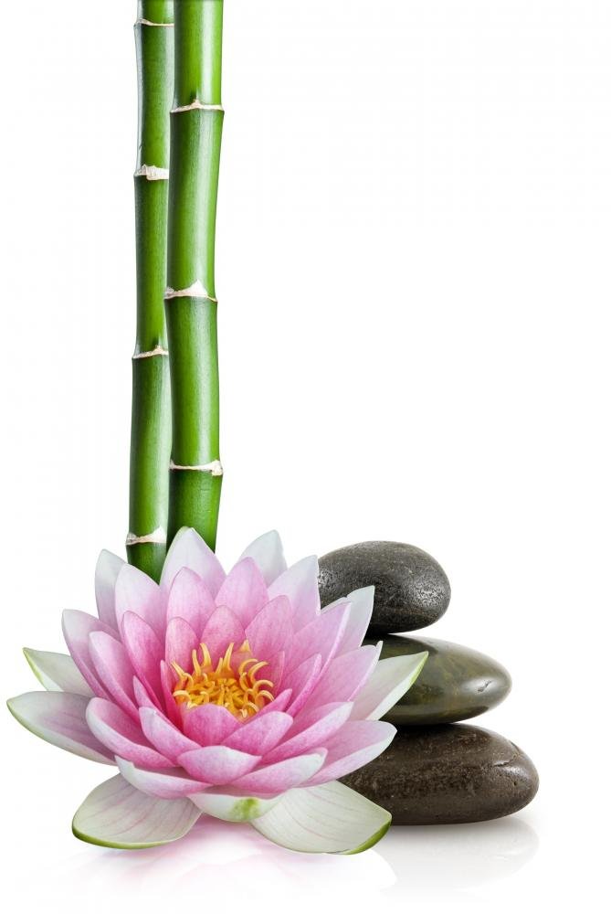 Wallmonkeys Lotus Flower Peel and Stick Wall Decal - 18 x 12 Inches - Removable Vinyl Wall Art for Home, Office, Nursery & Bedroom Decor
