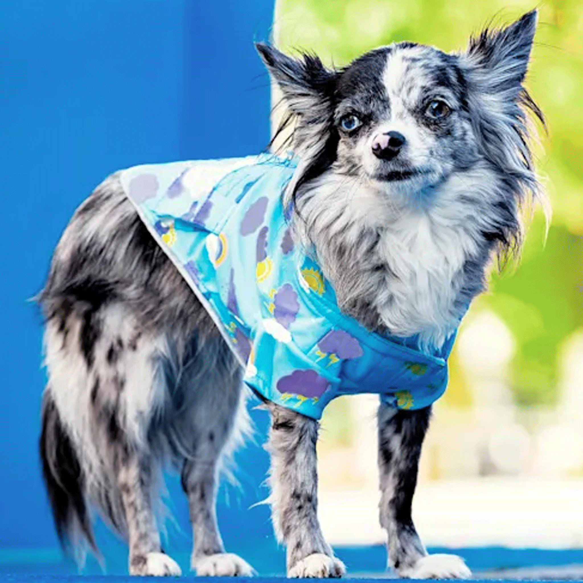 Canada Pooch Waterproof Dog Raincoat - Reflective & Adjustable for Outdoor Adventures - Perfect for Hiking, Walking, and Rainy Day Play