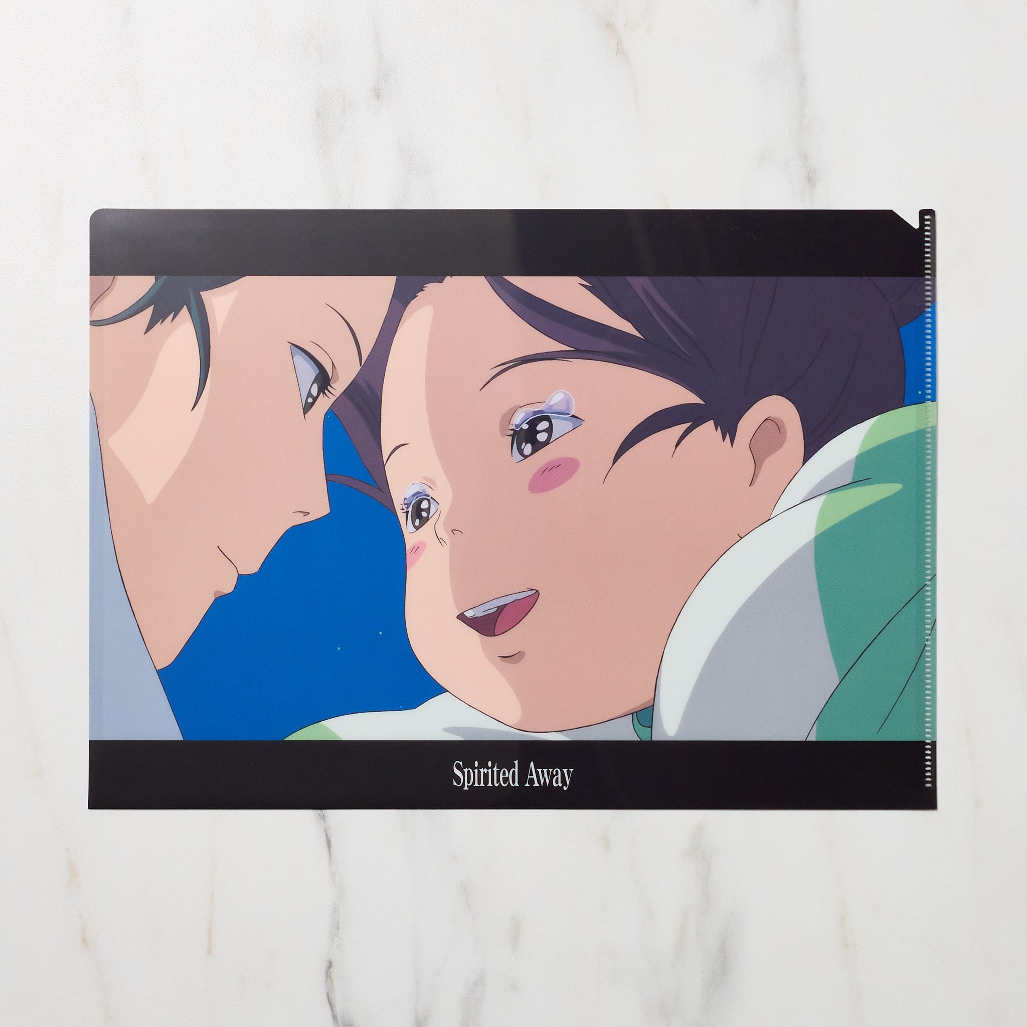 Studio Ghibli Spirited Away Scenes A4 Clear File Folder - Anime Document Organizer for Office, School & Travel | Perfect for Ghibli Fans & Collectors