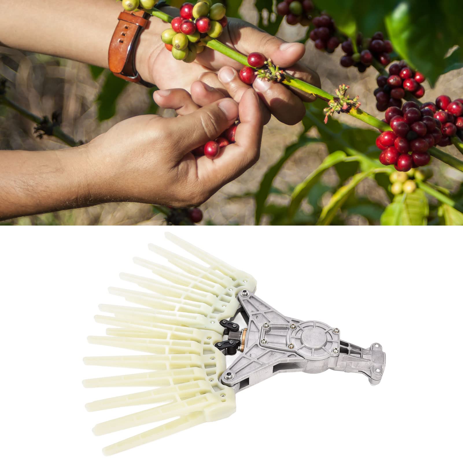 26mm 9T Rake Coffee Bean Harvester - Durable Cocoa & Olive Picking Tool with Replacement Tines - Perfect for Garden, Farm, and Orchard Harvesting Accessories
