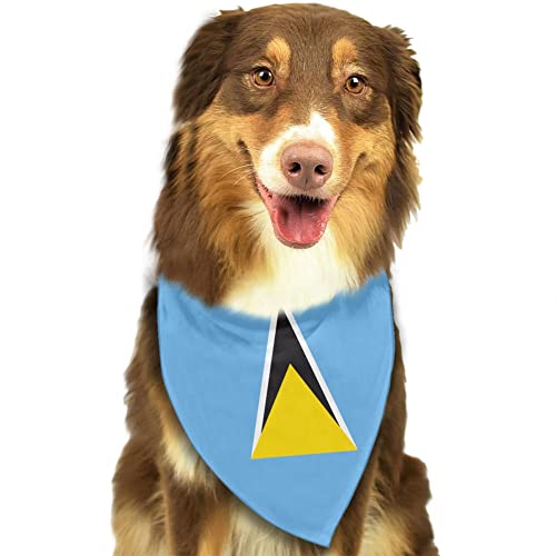 Saint Lucia's Flag