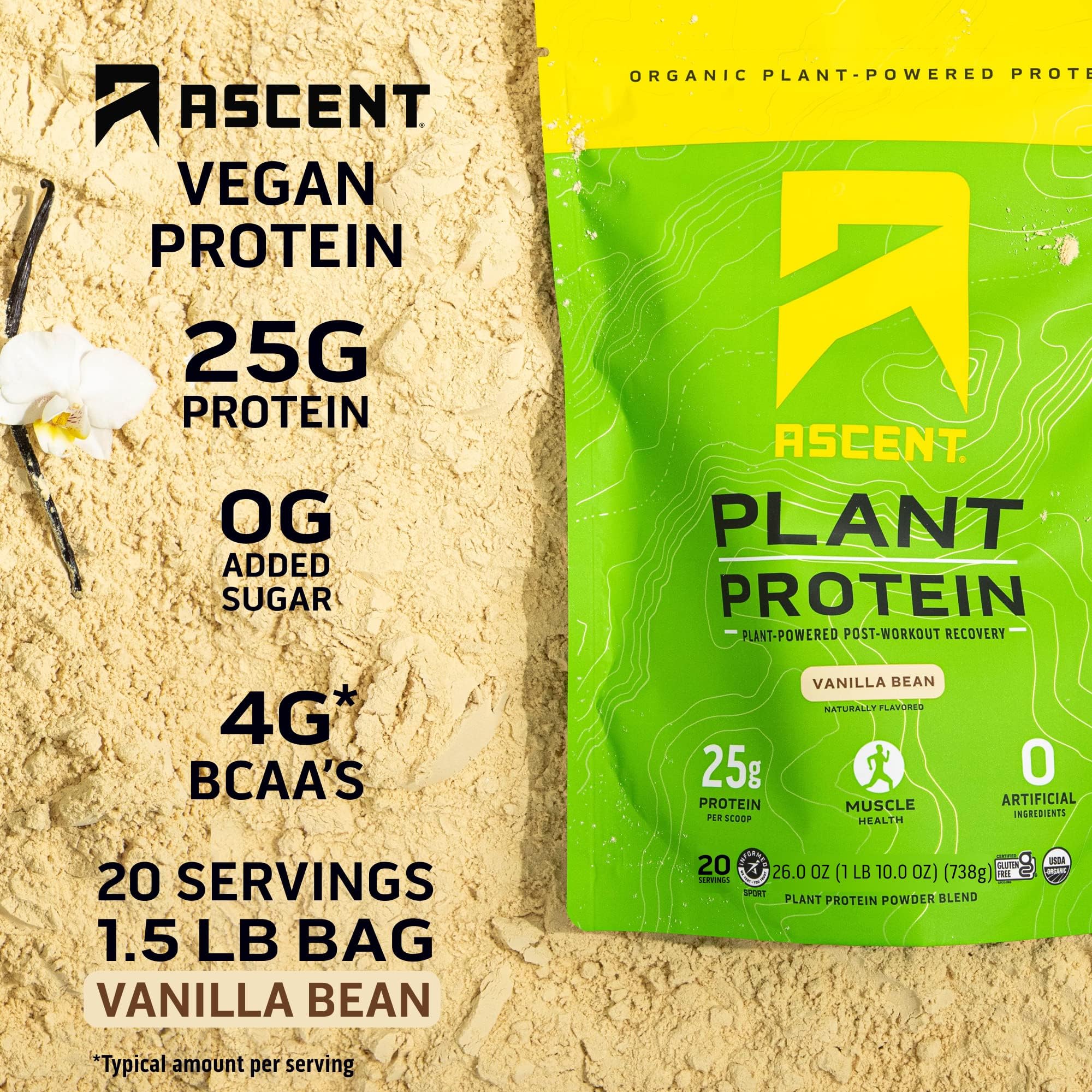 Ascent Plant Based Protein Powder - Vegan Non Dairy Protein Powder, Soy Free, Gluten Free, No Added Sugar, 4g BCAA, 2g Leucine - Vanilla Flavor (20 Servings) | Perfect for Post-Workout Recovery & Healthy Smoothies