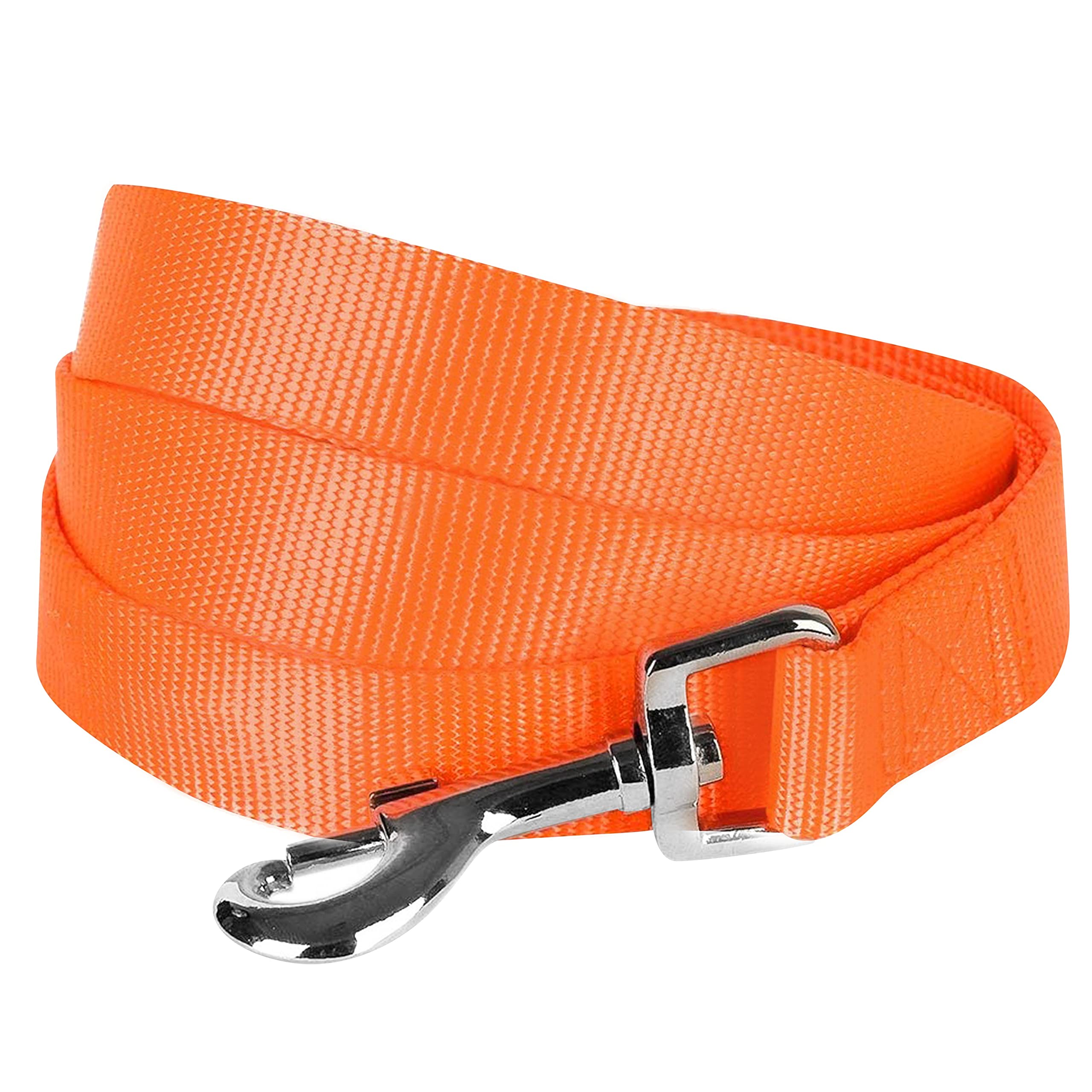 Durable Nylon Dog Leash 4ft x 1