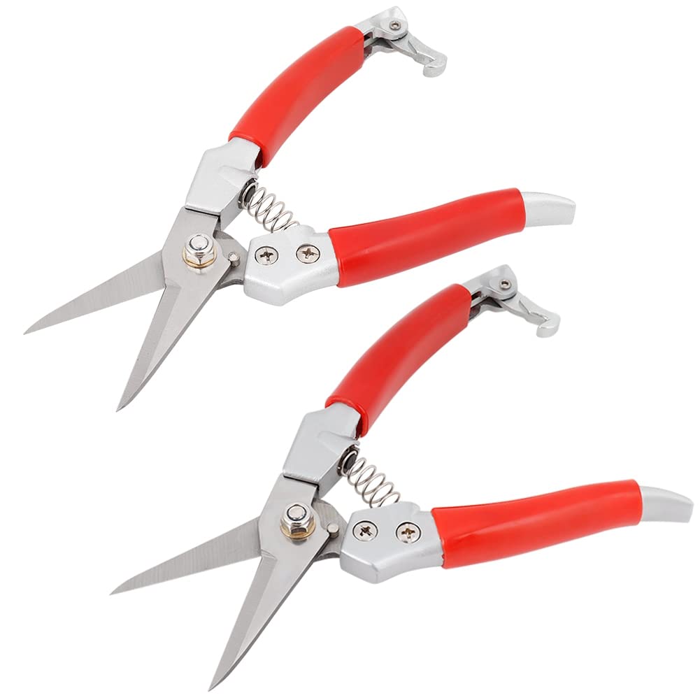 Premium Garden Pruners & Pruning Shears - Sharp Stainless Steel Blades, Ergonomic Red Handle for Comfort - Perfect for Trimming Plants, Shrubs, Flowers & Garden Maintenance (Ideal for Home Gardeners & Professional Landscapers)