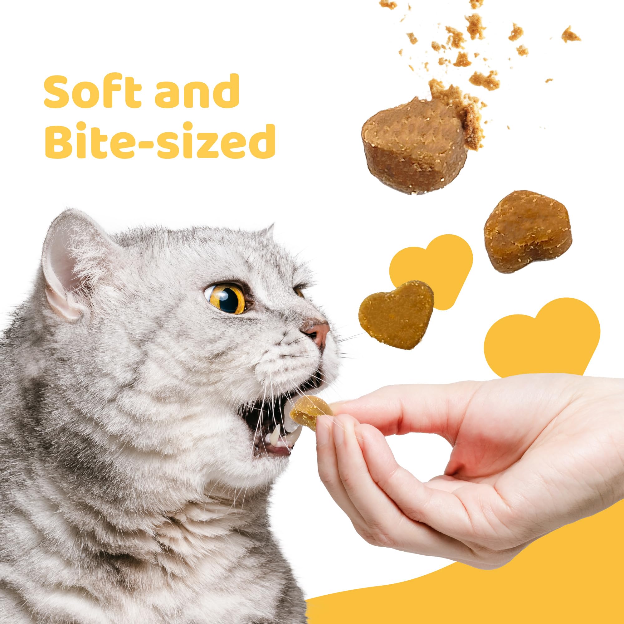 Healthy Grain-Free Soft Cat Treats for Indoor Cats - Probiotic Kitten Snacks with Chicken & Cranberry - Easy to Digest for Sensitive Stomachs - Perfect for Training Rewards & Bonding Time