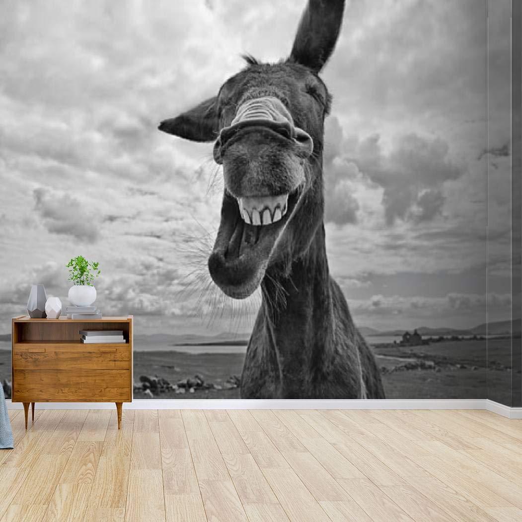 RECETHROWS Peel and Stick Wallpaper - Laughing Donkey Black & White Wall Mural, Self-Adhesive Vinyl Film Roll for Home Decor, Large Removable Wall Sticker | Perfect for Nursery, Living Room, Bedroom & Office Decoration