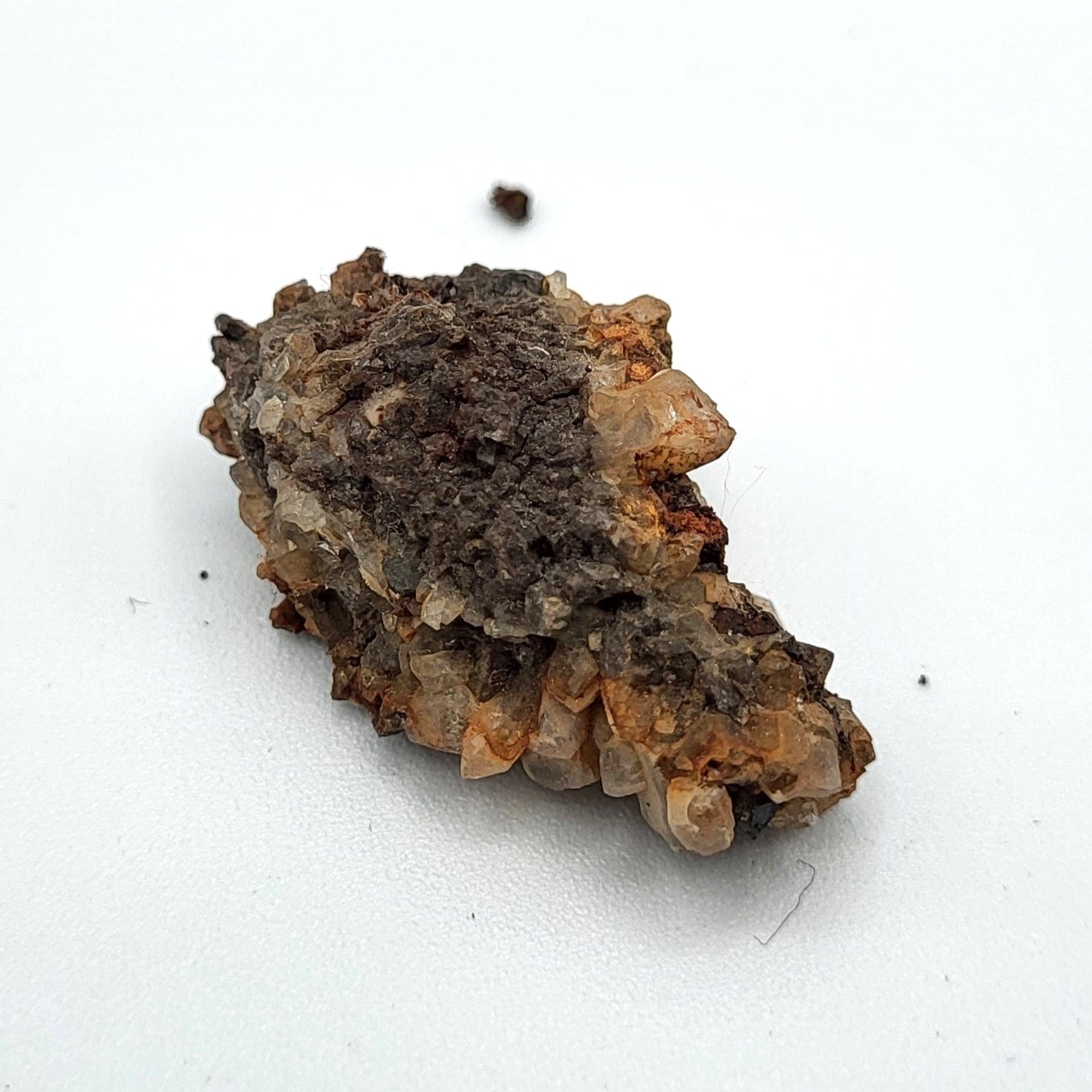Natural Brookite & Magnetite Raw Stones for Crystal Healing, Meditation & Energy Work – High-Quality Mineral Specimens for Collectors & Spiritual Use