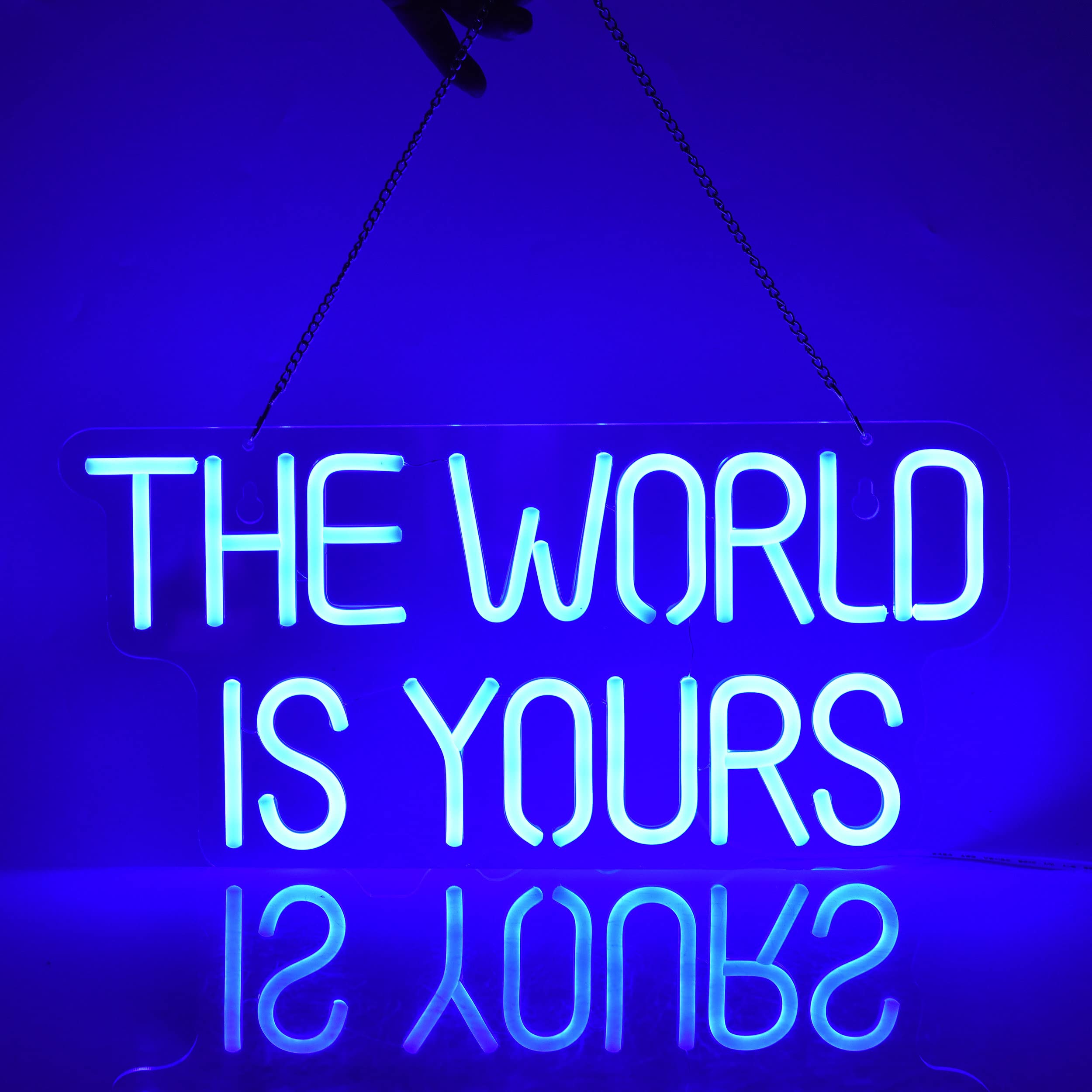 17x8 Inch LED Neon Blue 'The World is Yours' Dimmable Wall Sign - Custom Light Switch Art for Bedroom, Living Room & Party Decor | Perfect for Home, Office & Holiday Lighting